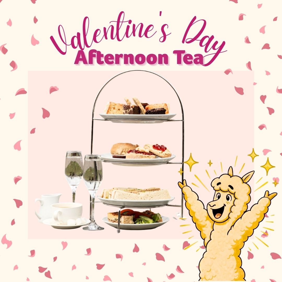 Valentine alpaca afternoon tea